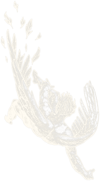 Icarus falling, feathers coming loose